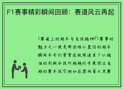 F1赛事精彩瞬间回顾：赛道风云再起
